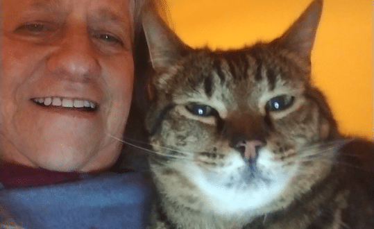 This pet-sitter loves cats, always choosing a cat-sit first