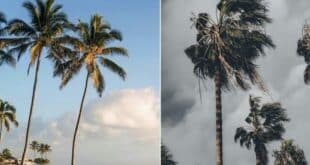 Spain’s Easter weather outlook: Warm with a chance of rain for Semana Santa 2026