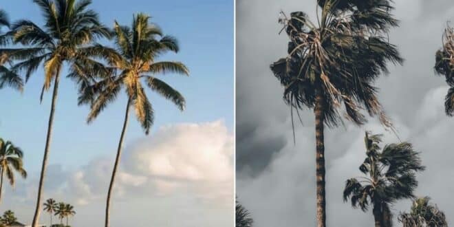 Spain’s Easter weather outlook: Warm with a chance of rain for Semana Santa 2026