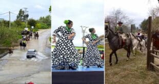 Over 60 horses participated in an community equestrian excursion along the banks of the Gomenaro River in Mijas