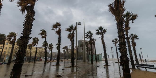 Spain weather flip: Snow, polar cold and strong winds set to sweep the country this weekend