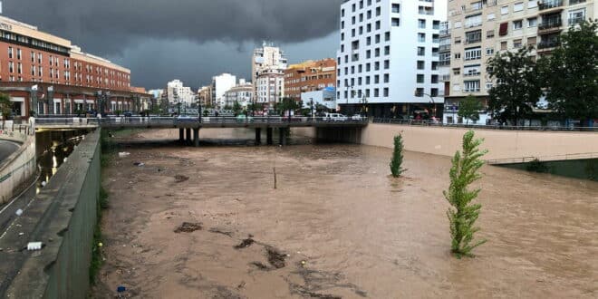 Storm Regina hits Spain: heavy rain, 70km/h winds and coastal alerts across several regions