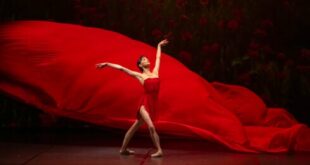 TIP TOE: The exciting new Antonio Banderas-backed Malaga international dance festival kicks off next month