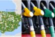 Find the cheapest petrol station near you in Spain with this portal