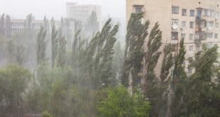 Schools closed and emergency measures taken: Storm Therese disrupts Canary Islands and spreads across mainland Spain today