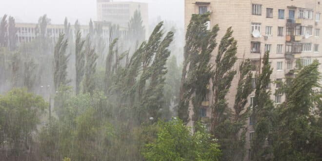 Schools closed and emergency measures taken: Storm Therese disrupts Canary Islands and spreads across mainland Spain today