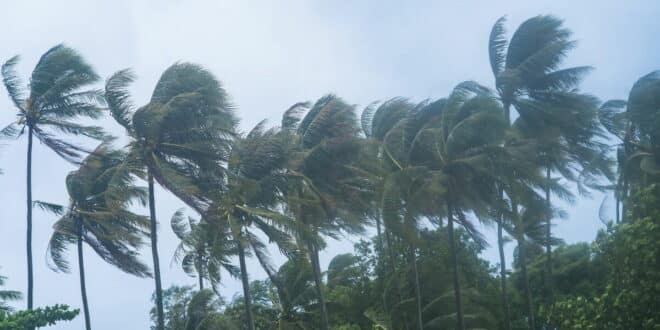 Canary Islands weather alert: What Storm Therese means for tourists and expats this week