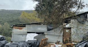 EXCLUSIVE: Architect’s €1 million retirement farm seized by squatter in a three-year ‘legal nightmare’ 