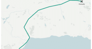 Police foil narco shootout in Costa del Sol beachfront hotspot: Shotgun and pistols seized moments before deadly midnight showdown