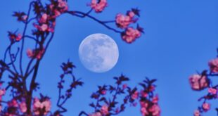 Spring has officially sprung in Spain – but what weather awaits in the days ahead?