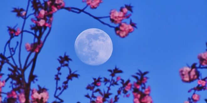 Spring has officially sprung in Spain – but what weather awaits in the days ahead?