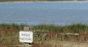 Spain's National High Court accepts appeal filed by the Junta regarding demarcation of Doñana marshes