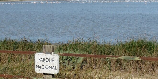 Spain's National High Court accepts appeal filed by the Junta regarding demarcation of Doñana marshes