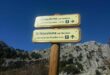 Grazalema in spring: vultures, silence and a wilder side of Andalucia