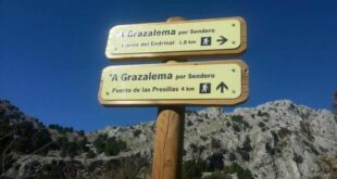 Grazalema in spring: vultures, silence and a wilder side of Andalucia