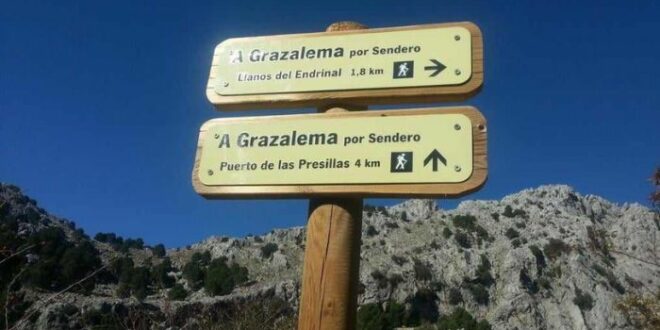 Grazalema in spring: vultures, silence and a wilder side of Andalucia