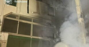 PICTURED: Dozens evacuated from Costa del Sol tourist hotspot as fire torches shops and cars