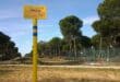 Spanish government authorises the dismantling of gas installations near Doñana National Park