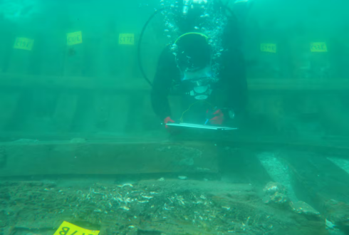 Divers scouring the sea off the coast of southern Spain discover 34 underwater wreckages – including remains of boat from 5th century BC