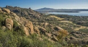 Climbing banned in Madrid park until August to protect birds of prey during breeding season