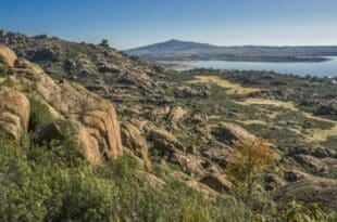 Climbing banned in Madrid park until August to protect birds of prey during breeding season
