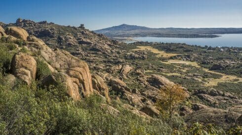 Climbing banned in Madrid park until August to protect birds of prey during breeding season