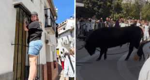 Gaucin’s bull run nearly ends in tears for Olive Press reporter