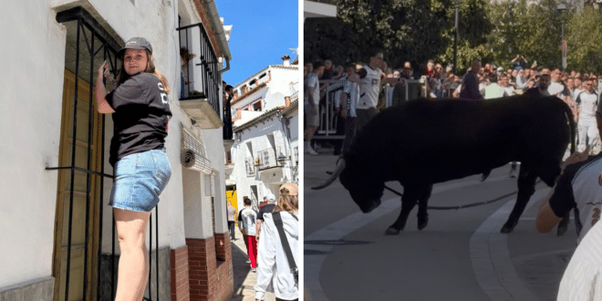 Gaucin’s bull run nearly ends in tears for Olive Press reporter