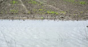 Fresh produce shortage? How the April 27 storm aid deadline in Spain could hit your summer food supply