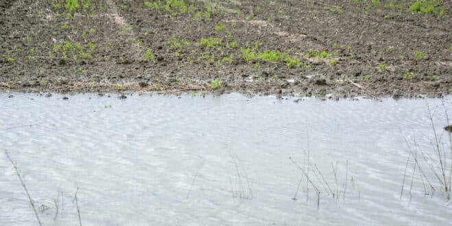 Fresh produce shortage? How the April 27 storm aid deadline in Spain could hit your summer food supply