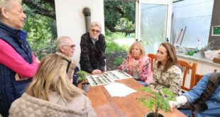 Marbella plans co-working centre for local charities to pool resources