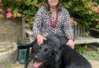 We need more house-sitters – Join us!