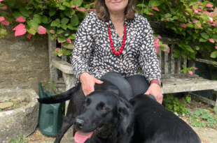 We need more house-sitters – Join us!