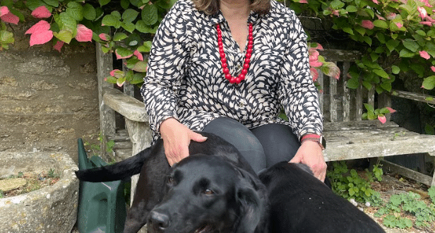 We need more house-sitters – Join us!