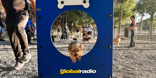 New Torremolinos Dog Park Opens