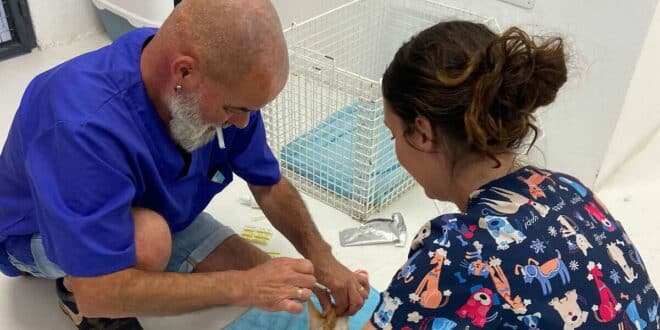 Local veterinarian Michael Rackl fondly remembered by Triple A charity Marbella