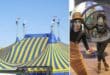 Cirque du Soleil big top rises in Malaga for Kurios spectacular: Workers complete complex big top raising