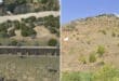 Mijas moves ahead with “El Burrito” donkey sanctuary plans with new centre design