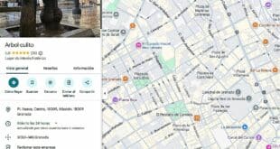 Granada's 'little bum' tree gets five-star rating on Google Maps