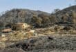Search operations in Los Gallardos suspended after no further victims found in the areas affected by fire