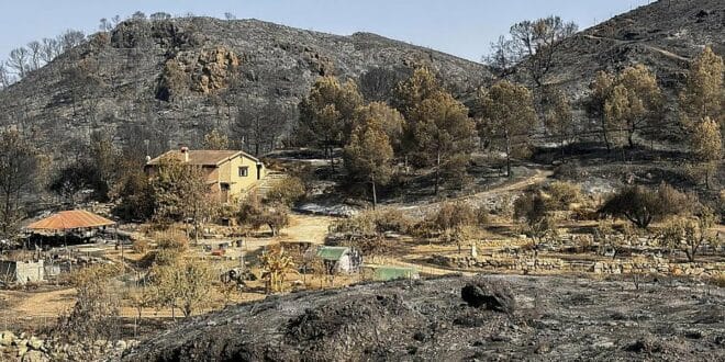 Search operations in Los Gallardos suspended after no further victims found in the areas affected by fire