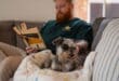 Our pet-sitters have been checked, so you have peace of mind