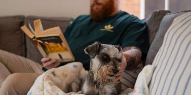 Our pet-sitters have been checked, so you have peace of mind