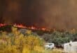Los Gallardos wildfire death toll rises to 14 as injured woman dies in hospital
