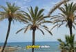 Calima Causing Poor Air Quality On The Costa Del Sol