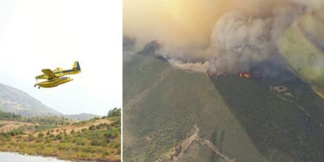 188 people forced out as forest fire strikes Grazalema, near Ronda