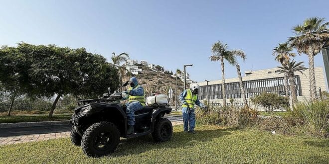 Twice-daily fumigation to curb spread of West Nile mosquito on Costa Tropical