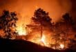 Almeria wildfire is now the third deadliest in Spanish history