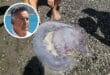 Will there will be lots of jellyfish on Granada's Costa Tropical this summer? An expert explains how to tell
