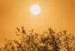 Murcia’s calima turns dangerous as toxic air hits asthma and allergy sufferers hardest